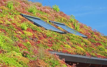 Compton Abbas living roof systems