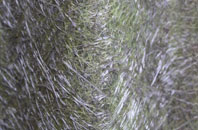 Compton Abbas fibreglass roof work